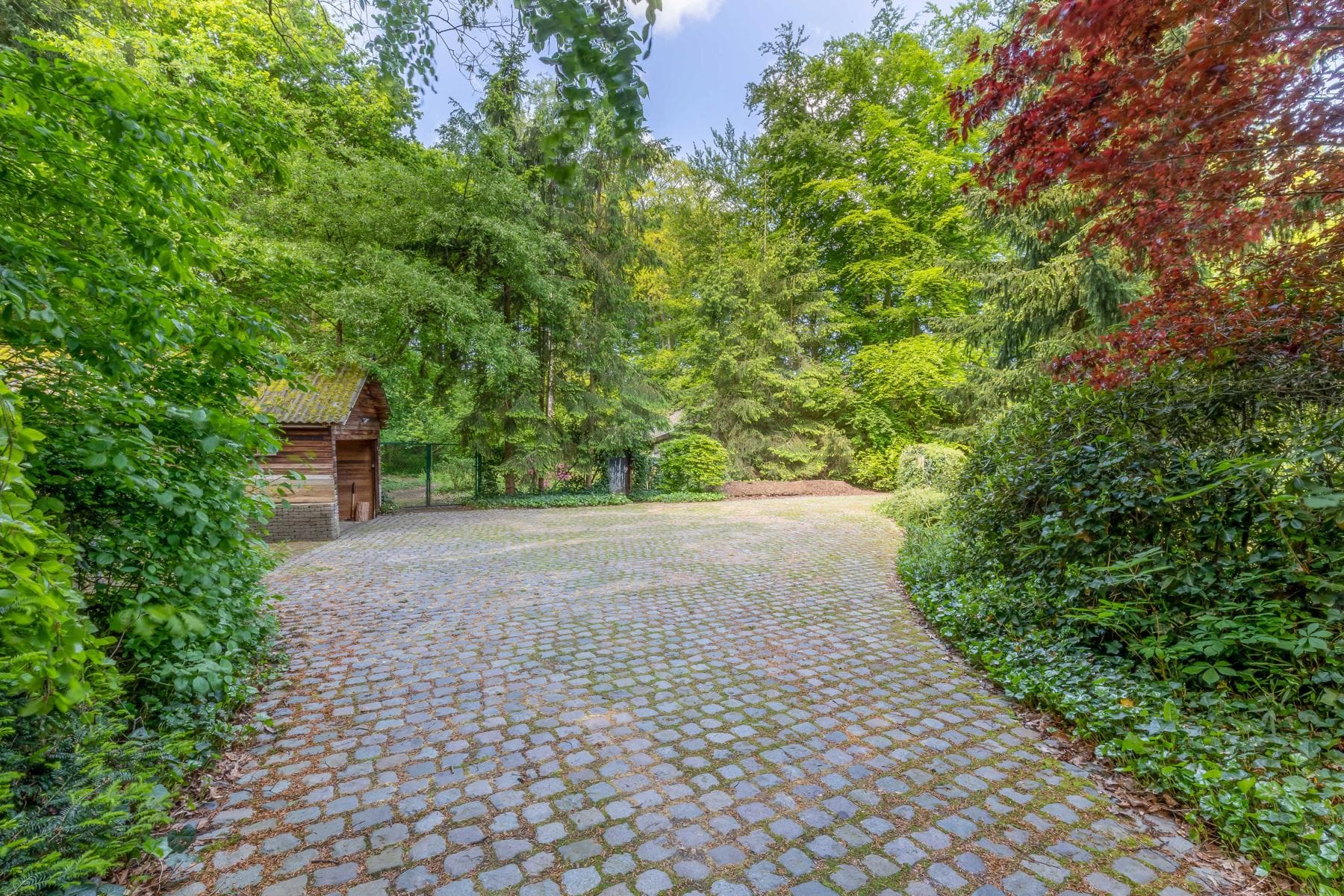 Karaktervolle rieten kap woning met aanbouw op 4.334 m² (ZW) — foto 50