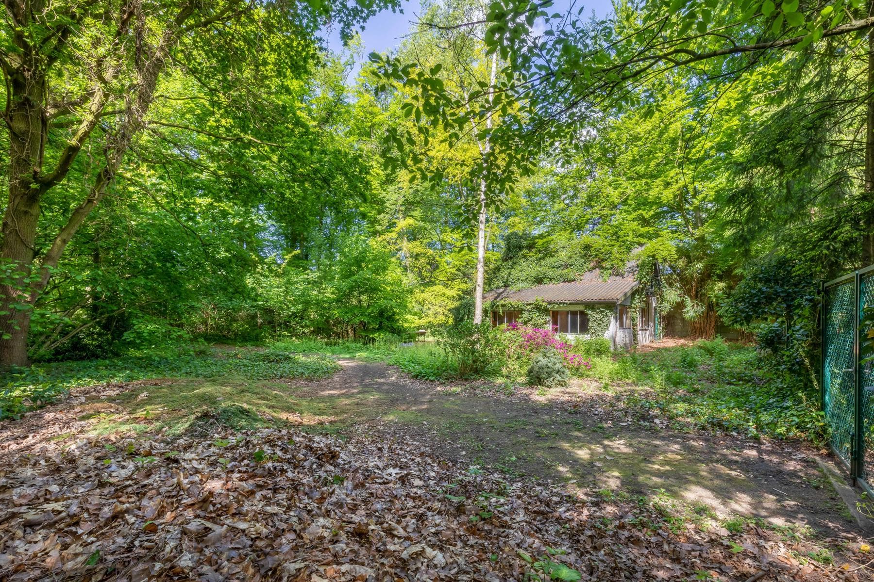 Karaktervolle rieten kap woning met aanbouw op 4.334 m² (ZW) — foto 45